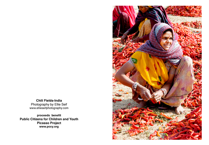 chili fields- India