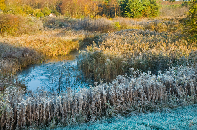 morning frost