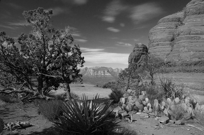 Sedona beauty in black and white