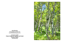 Utah Birches