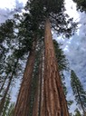 Yosemite National Park 29